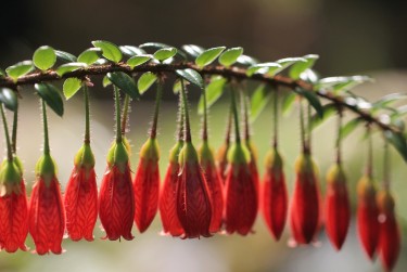珠海香洲区5私人快速借钱网，轻松解决资金难题